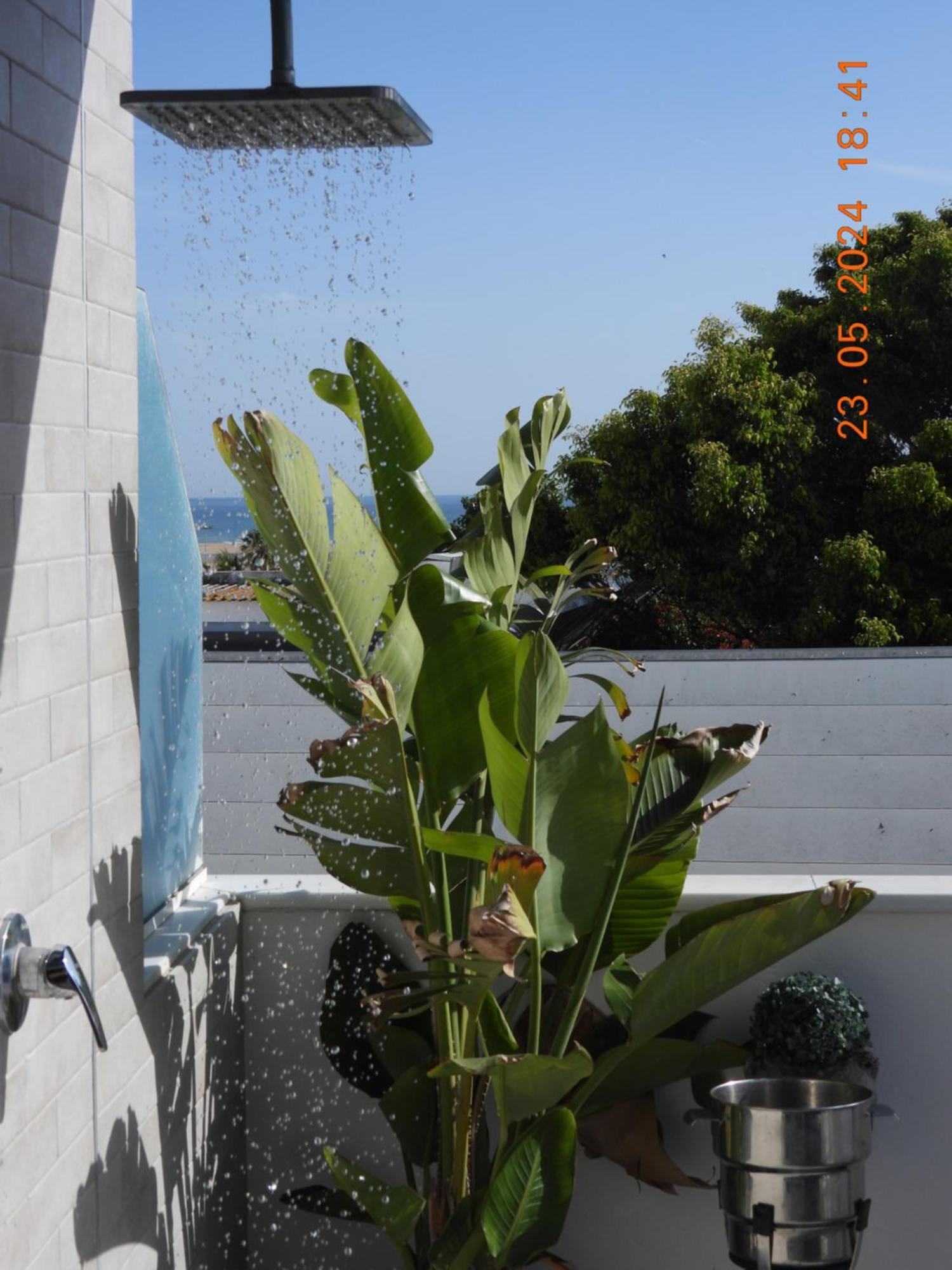 Aba Penthouse, Piscina&Azotea Privada Apartment Conil De La Frontera Exterior photo